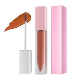 Lip Honey Matte Lipstick Glossy Clear Frosted Square Tube (Option: Style4-Matte lip glaze)